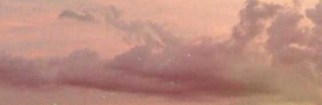 Vũ Như Cover Image