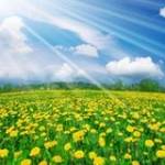 Luong Ngo ở Quận 12, TP Hồ Chí Minh - Hơi ít nói biết quan tâm và lắ