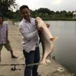 Hà Thanh Tùng tìm bạn đời sau ly hôn