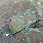 tâm sự với người lạ tên Đặng Tùng