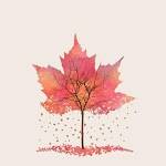 Trần Tú  ở Châu Thành, Đồng Tháp - A beautiful thing is never per