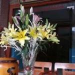 Nguyen Văn ở Mỹ Hào, Hưng Yên - Tim ngươi you lâu dai