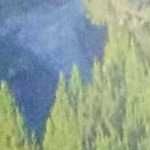 đạt chí ở Quận 8, TP Hồ Chí Minh - tôi đơn giản