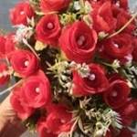 Thiêu Tạ ở ,  - 