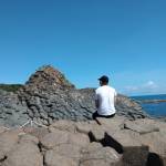 Hoàng Đỗ ở Tân Phú, TP Hồ Chí Minh - Bình thường