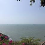 Nguyen Bi  ở Quận 7, TP Hồ Chí Minh - Vui ve lịch su