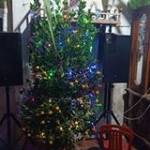 Minh Thái  ở ,  - 