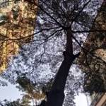 Nguyễn Ngâ ở Yên Bình, Đồng Nai - mình là bisexual hmmmm <br>   