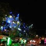 Lê Thanh T ở ,  - 