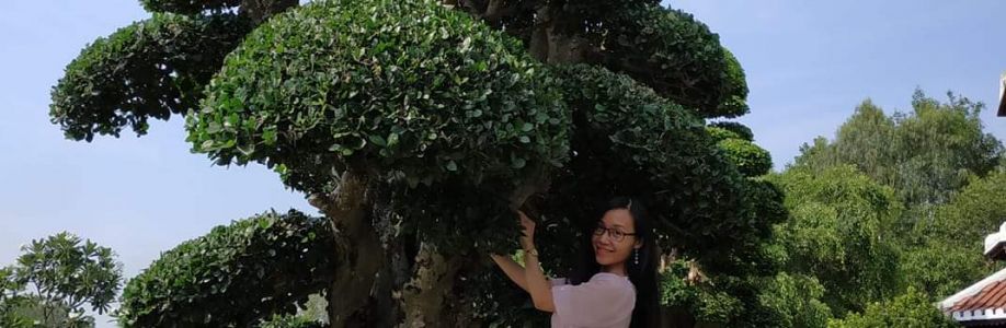 Julia Nho Cover Image