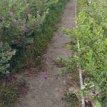 Bui Huu lo ở Quận 9, TP Hồ Chí Minh - Độc thân muốn tim người yêu