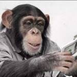 Nguyễn Thế ở Kim Thành, Hải Dương - Sống tình cảm