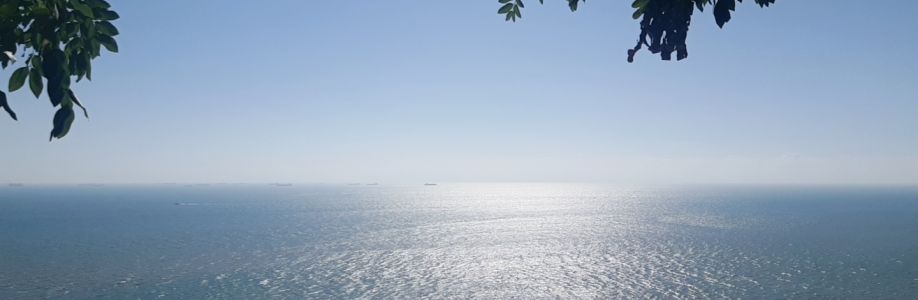 Hai Ngoc Cover Image