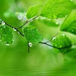 kết bạn Nguyen Nam cùng tìm người yêu