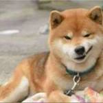 Trần Ngọc ở ,  - 