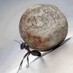 Dương Seven Profile Picture