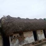 Ngô Bảo Hi ở ,  - 