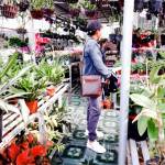 Nguyễn Phú ở Long Xuyên, An Giang - ít noi . song tinh cam