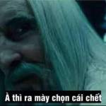 Nguyen Lon ở An Dương, Hải Phòng - Ko