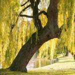 Bùi Hoang ở Hoàng Mai, Hà Nội - Sống ở HN. Tính nhẹ nhàng, ấm 