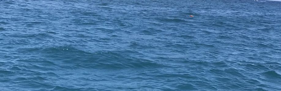 Đặng Duy Cover Image