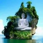 Nguyên Dươ ở ,  - 