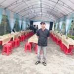 Đời Bạc Lắ ở ,  - 