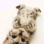 Hai Truong Profile Picture