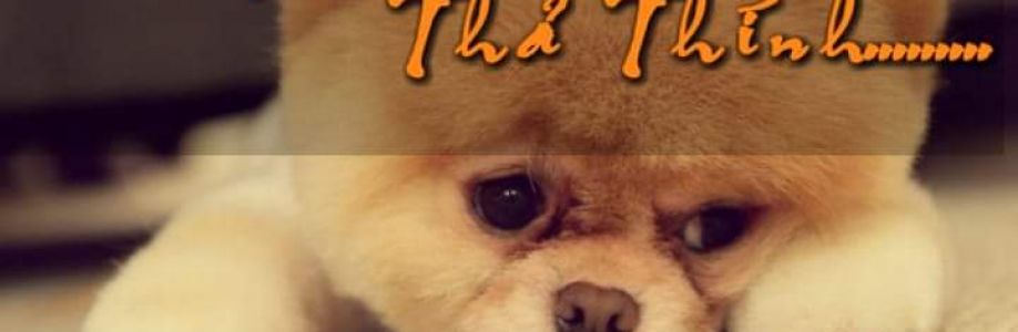 Gia Cát Lượng Cover Image