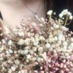 Hơ Hớ Hơ ở Cư Jút, Đắk Nông - vui vẻ