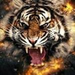 Trần Lâm ở ,  - 