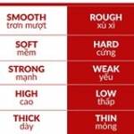 Tran Linh ở Đông Anh, Hà Nội - 31 tuoi