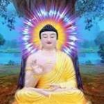 Độc Bước ở ,  - 