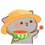 Nguyễn Lê  ở Phù Cát, Bình Định - Mình là một người sống 1 nửa h