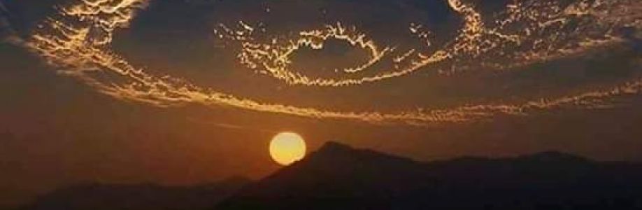 Quốc Kiệt Trương Phạm Cover Image