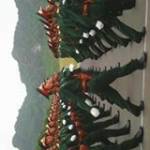 Người Khôn ở ,  - 