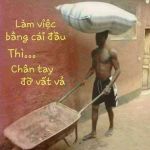 Hoang Minh ở Đông Anh, Hà Nội - Hoà đồng