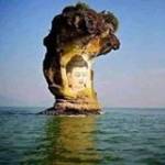 Thạnh Võ ở ,  - 