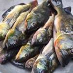 Nhớ Mãi tìm bạn đời sau ly hôn