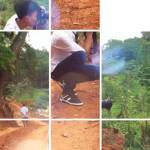 C Đức Thuậ ở Thủ Đức, TP Hồ Chí Minh - Là ng bình thường , nói chuyện