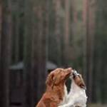 Huỳnh Yen ở Thuận An, Bình Dương - Thích uốn cate thích du lịch t