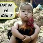 Trần Hạoth ở Quận 12, TP Hồ Chí Minh - Vui vẻ và hòa đồng