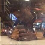 Đăng Nhập  ở Thủ Đức, TP Hồ Chí Minh - độc thân