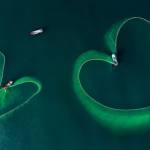 Bùi Vũ Diệ ở Quận 5, TP Hồ Chí Minh - PG, MC tại PG Media <br>RMIT 