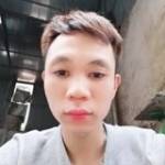 Hoa Bất Tử ở ,  - 