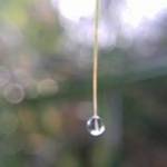 Giỏi Nguyễ ở Hòa Thành, Tây Ninh - Chân thành. Thật thà .it nói