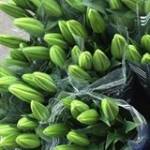 Ngô Văn Th ở Quận 1, TP Hồ Chí Minh - Vui ve