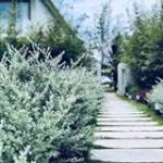 Hồ Hoàng ở ,  - 