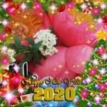 Phùng Trần ở ,  - 