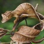 Toan Nguyễ ở ,  - 